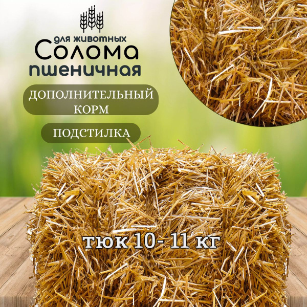 Солома для животных 10-11 кг Пшеничная купить на OZON по низкой цене ...