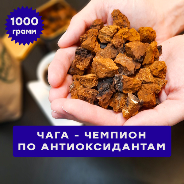Чага "ДИКОРОСИЯ" натуральная березовая кусковая 1 кг - купить с ...