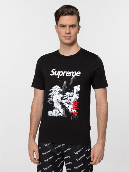 Футболка Supreme, размер 48, цвет черный, 100% хлопок - купить по ...