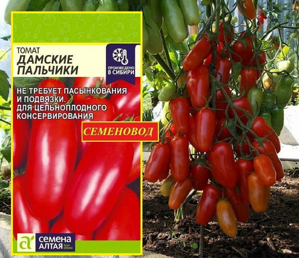 Томаты Семена Алтая Алтай - купить по выгодным ценам в интернет ...