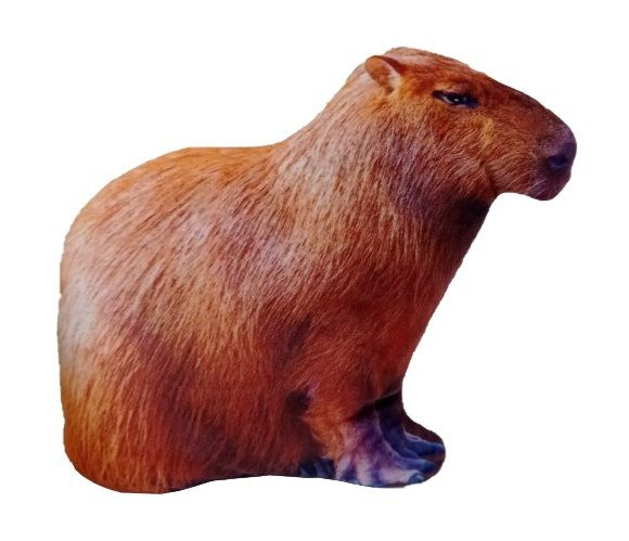 Капибара игрушка мягкая Ozon