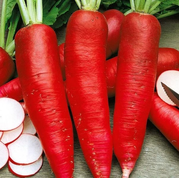 Редька Deodar SEEDS COMPANY Овощи - купить по выгодным ценам в интернет ...