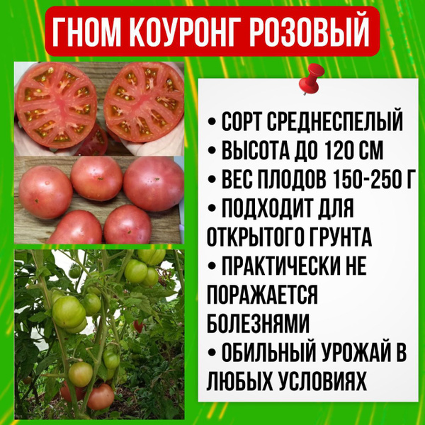 Томаты Livata гном - купить по выгодным ценам в интернет-магазине OZON ...