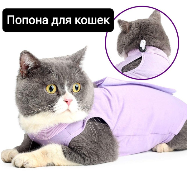 Попона для кошек, послеоперационная, размер L - купить с доставкой по ...