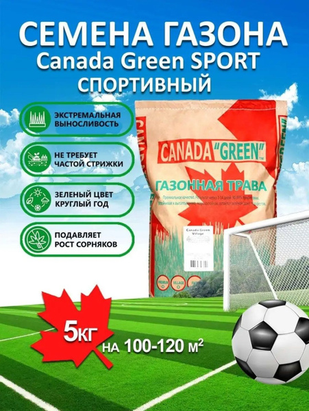 Газонные травы, Различные травы Canada Green Газон Спортивный_1 ...