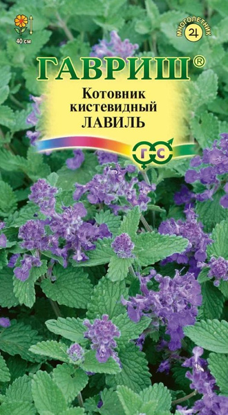 Котовник Гавриш Котовник - купить по выгодным ценам в интернет-магазине ...