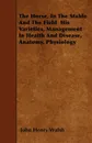 The Horse, In The Stable And The Field  His Varieties, Management In Health And Disease, Anatomy, Physiology - John Henry Walsh