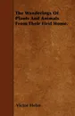 The Wanderings Of Plants And Animals From Their First Home. - Victor Hehn