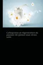 Callogenese et regeneration de pousses de glaieul sous stress salin - Collectif