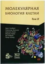 Молекулярная биология клетки. в 3-х томах. Том II. - Альбертс Б., Джонсон А., Льюис Д.