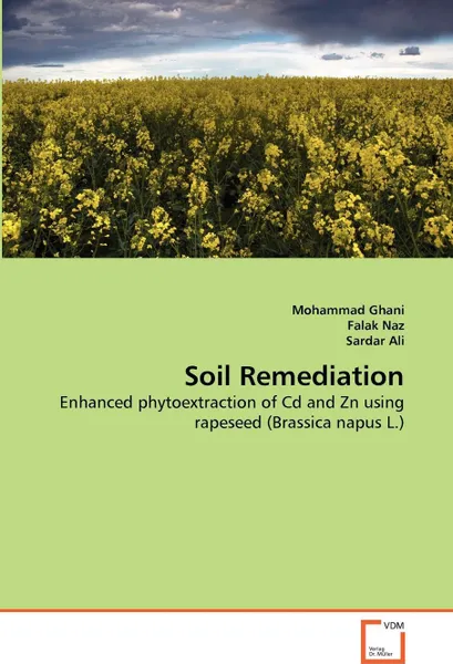 Обложка книги Soil Remediation, Mohammad Ghani, Falak Naz, Sardar Ali