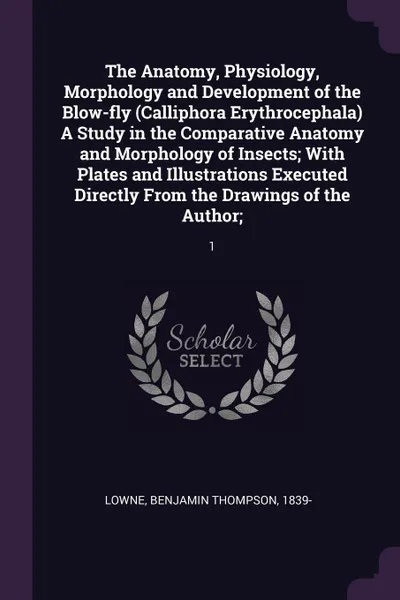 Обложка книги The Anatomy, Physiology, Morphology and Development of the Blow-fly (Calliphora Erythrocephala) A Study in the Comparative Anatomy and Morphology of Insects; With Plates and Illustrations Executed Directly From the Drawings of the Author;. 1, Benjamin Thompson Lowne