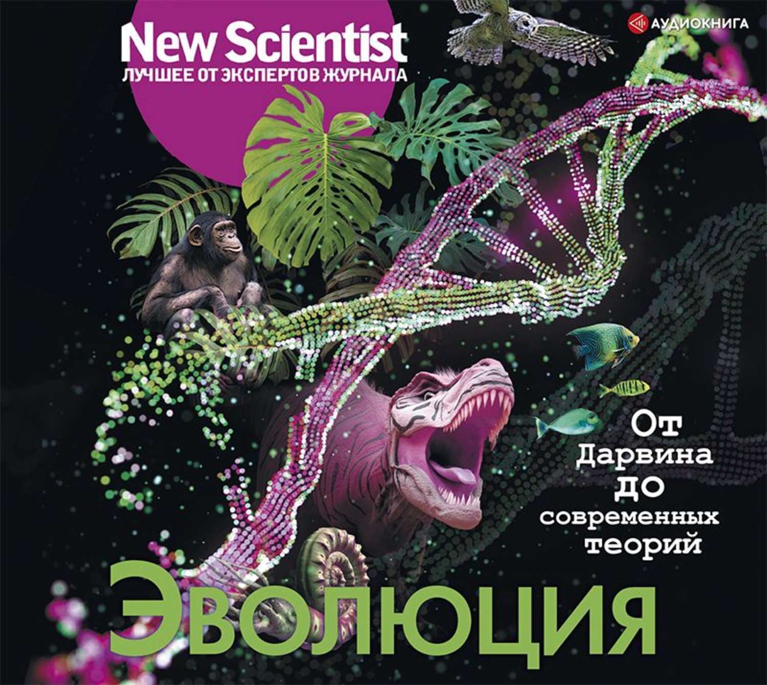 Аудиокнига теория. Эволюция от Дарвина до современных теорий. Журнал Эволюция. Эволюция. От Дарвина до современных теорий аудиокнига. Аудиокнига Эволюция.