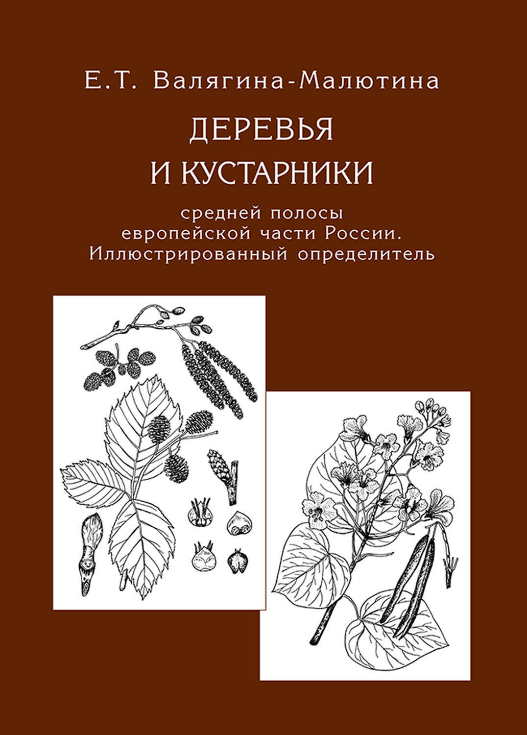 Книга «деревья и кустарники средней полосы европейской части России»