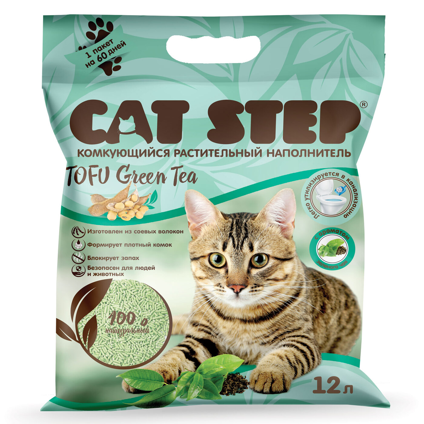 Cat step Cat step