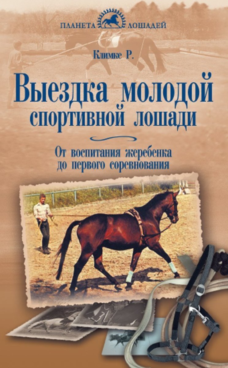 Выездка молодой спортивной лошади. От воспитания жеребенка до первого  соревнования