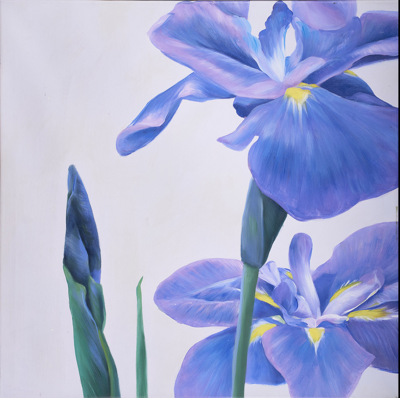 Картина Ирисы голубые натюрморт - купить по низкой цене в интернет ...