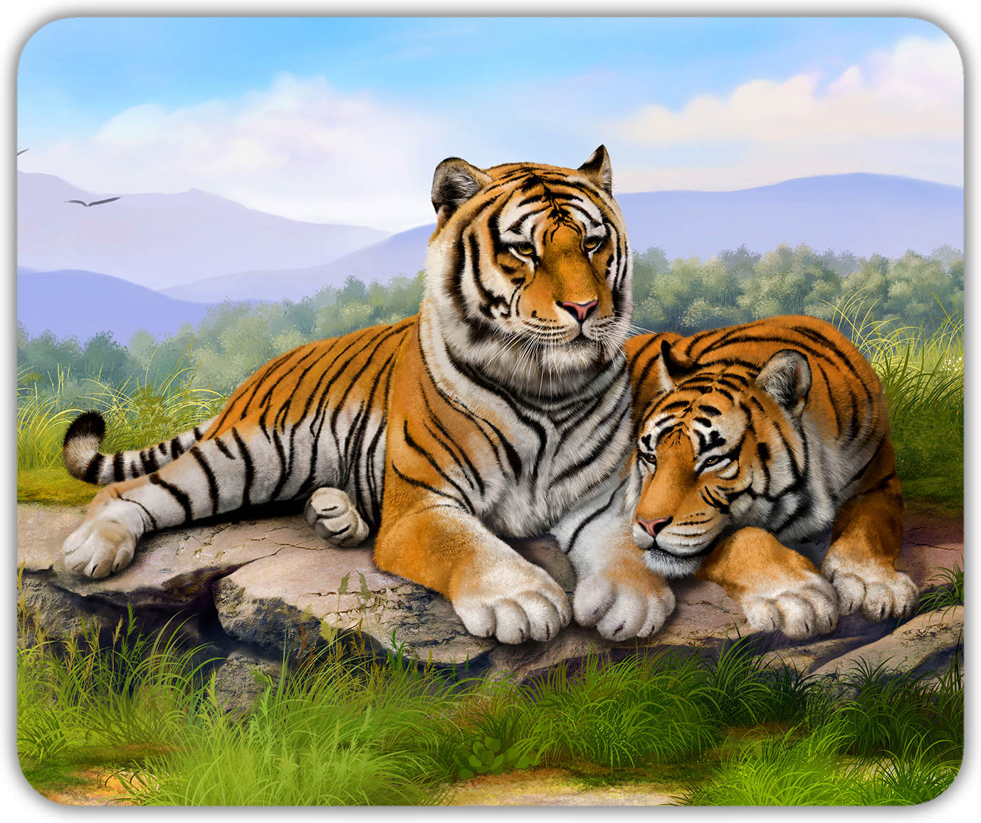Рисунок двух тигров