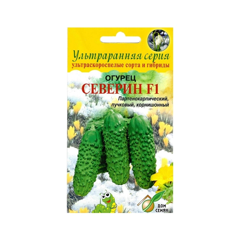 Купить Семена Огурцов Северин