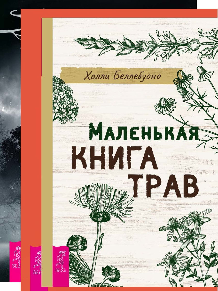 Книга про травы и их свойства с рисунком