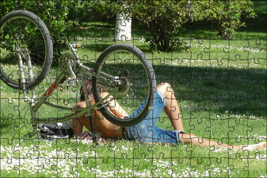 Велосипед на траве. Классные фото с велосипедом. Велосипед для парка отдыха. Велосипед в дереве.