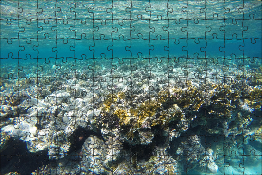 Коралл вода. Рифы в море фото. Ocean Habitat. Seabed meaning.