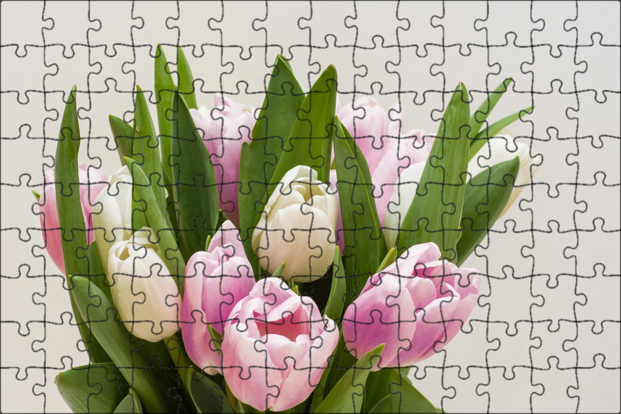 Розовые тюльпаны. Бело розовые тюльпаны. Тюльпаны белые с розовым. Розовые тюльпаны в упаковке. Тюльпаны белые с розовым.