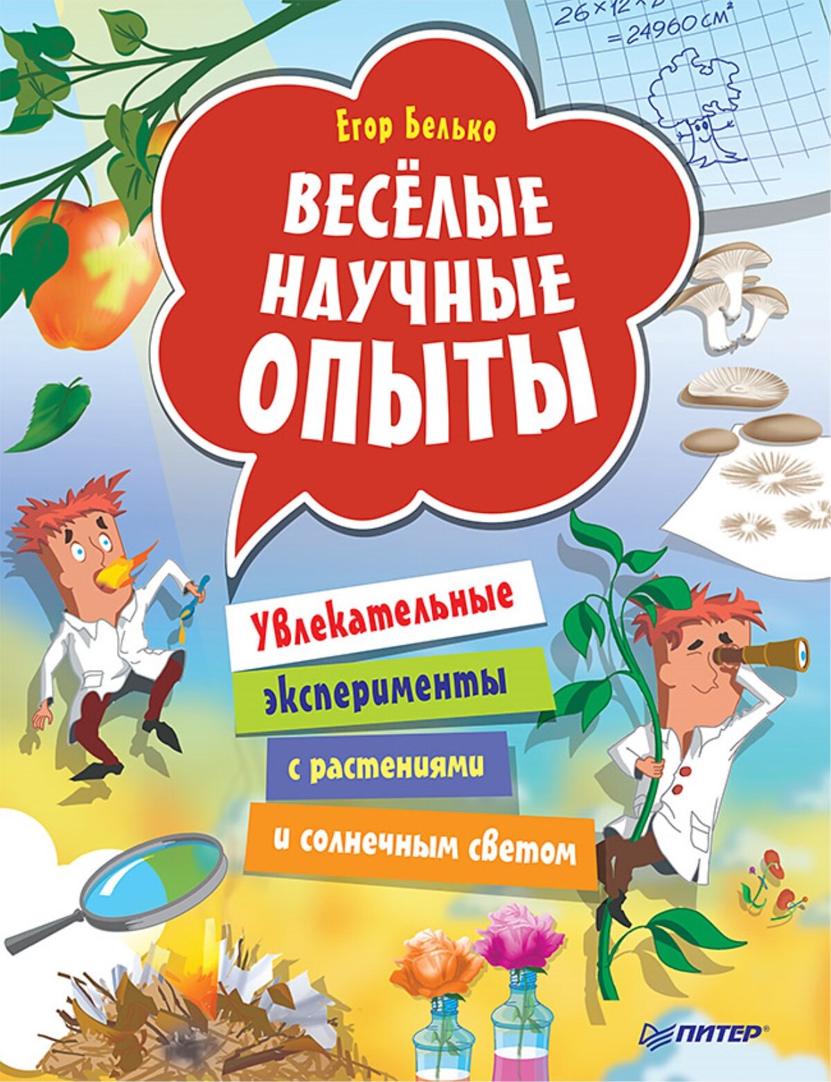 Познавательно-исследовательский проект «Опыты и эксперименты с комнатными растениями»