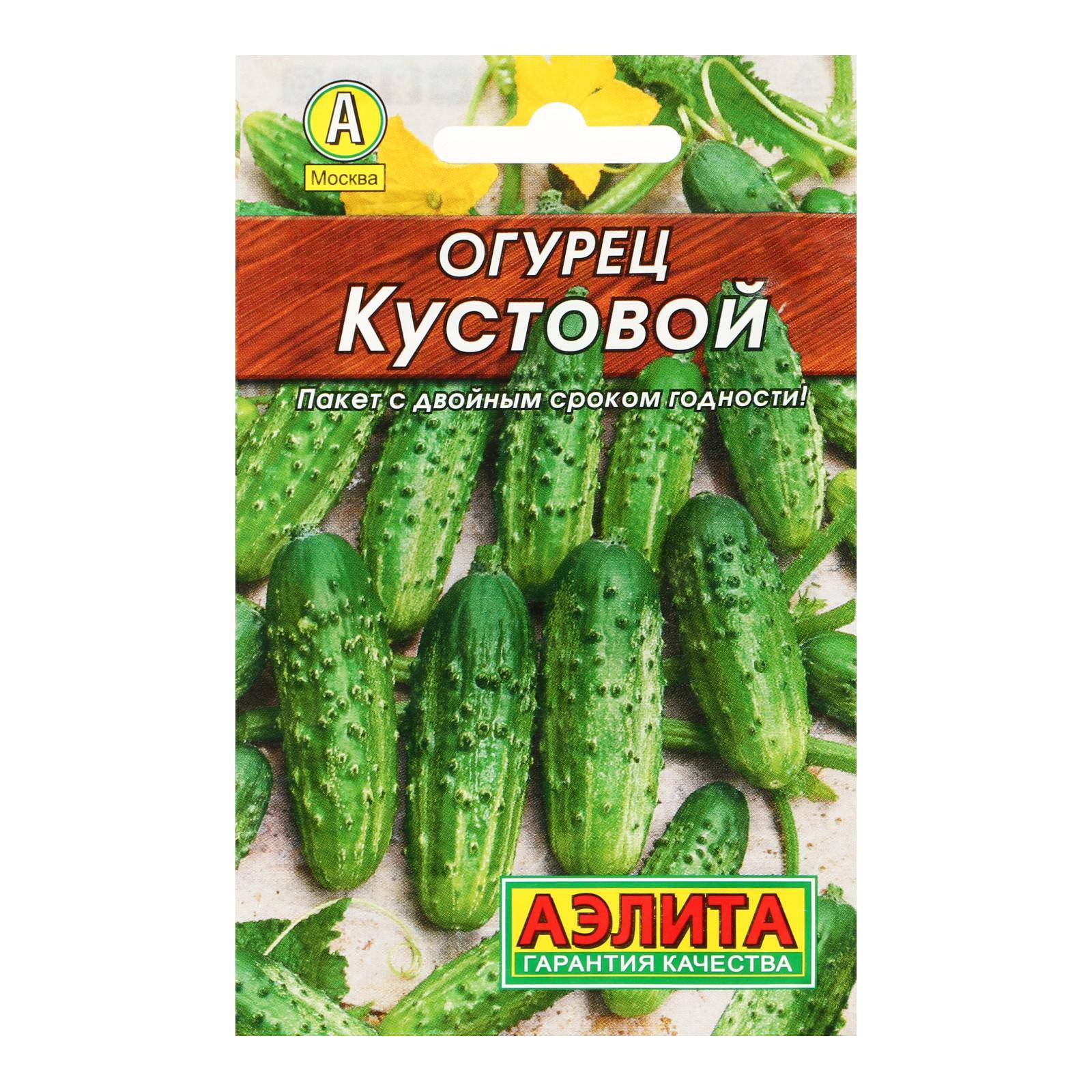 Купить Семена Огурцов Кустовой