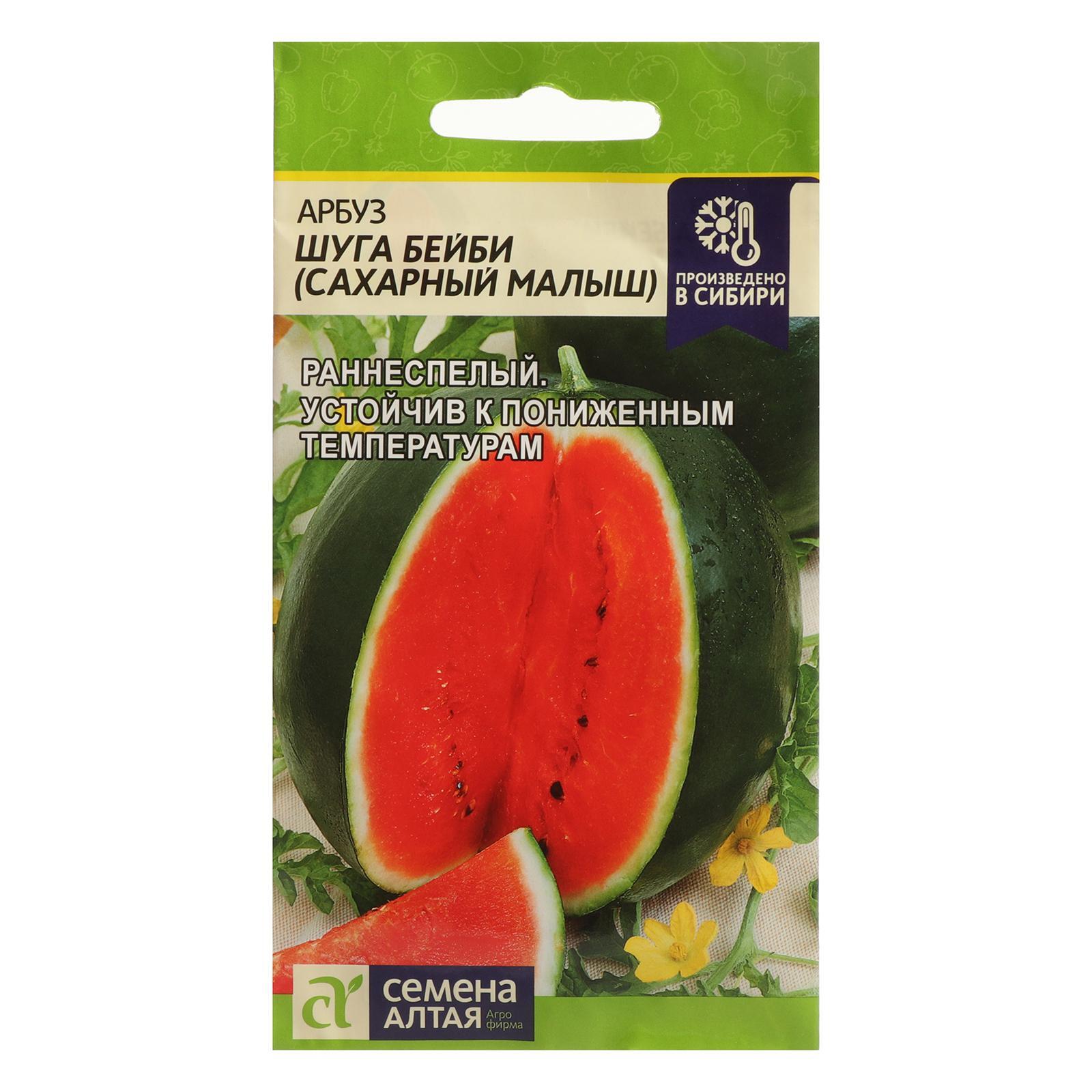 Арбуз лакомый кусочек. С. Арбуз шуга деликата ф 1. Одиссей f1. Одиссей f1.