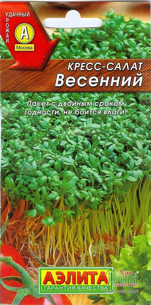 Кресс салат весенний фото и описание сорта