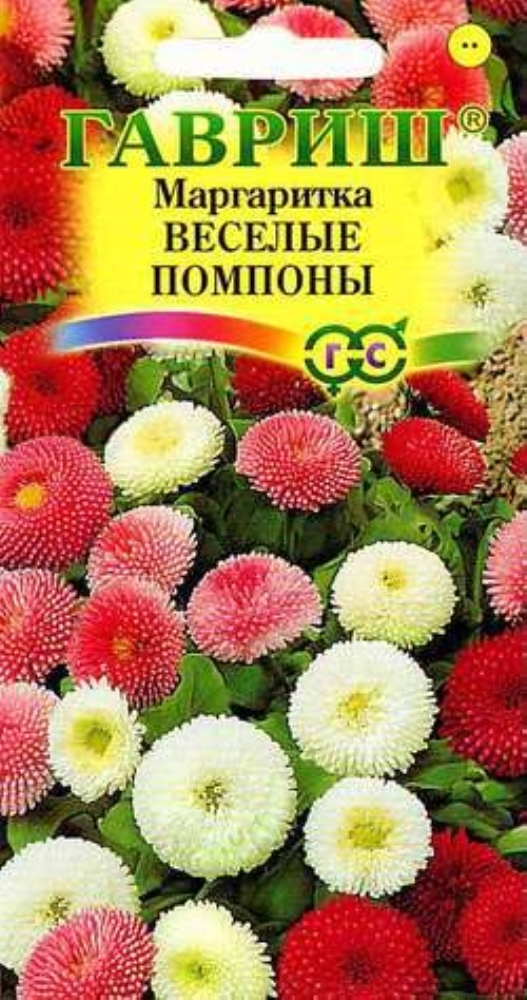 Маргаритки Семена Купить