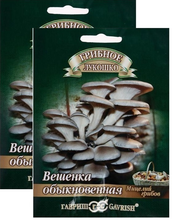 Мицелий Грибы Вешенка Обыкновенная на древесной палочке , 24 шт (палочек) (Гавриш) , 2 пакетика * 12 шт