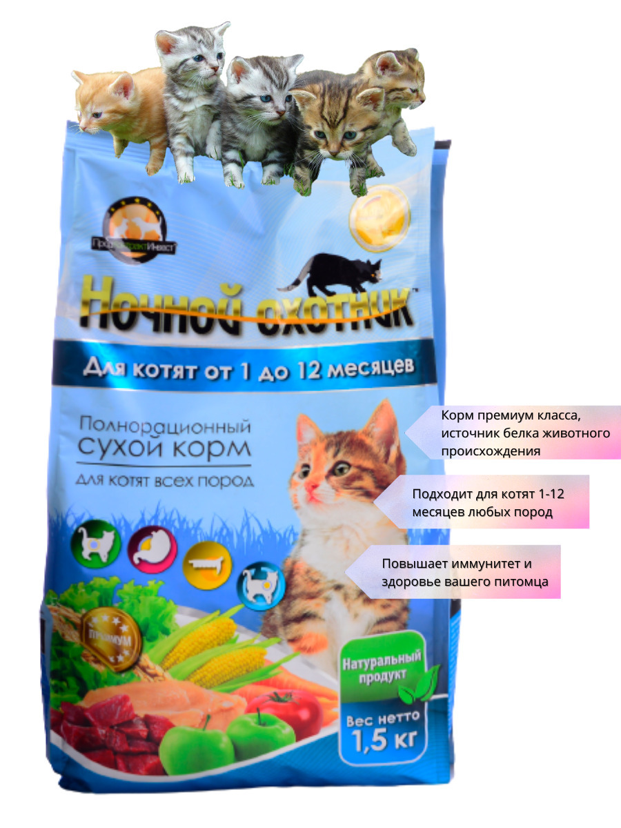 Жидкий корм для котят. Вискас для котят 1-12 месяцев сухой корм. Ночной охотник корм для котят сухой. Whiskas 75 г. Ночной охотник корм для котят сухой.