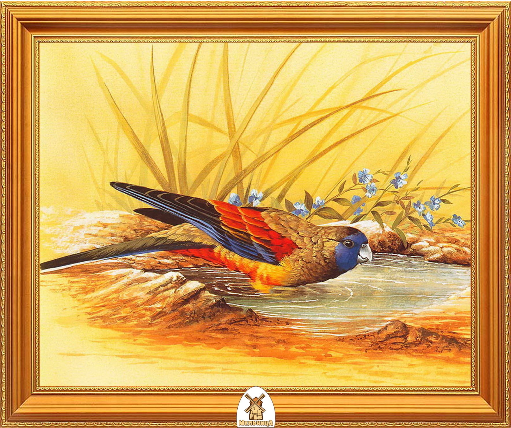 Описание картины птицы. Птицы живопись. Картина птицы. Художники рисующие птиц. Красивая птица рисунок.