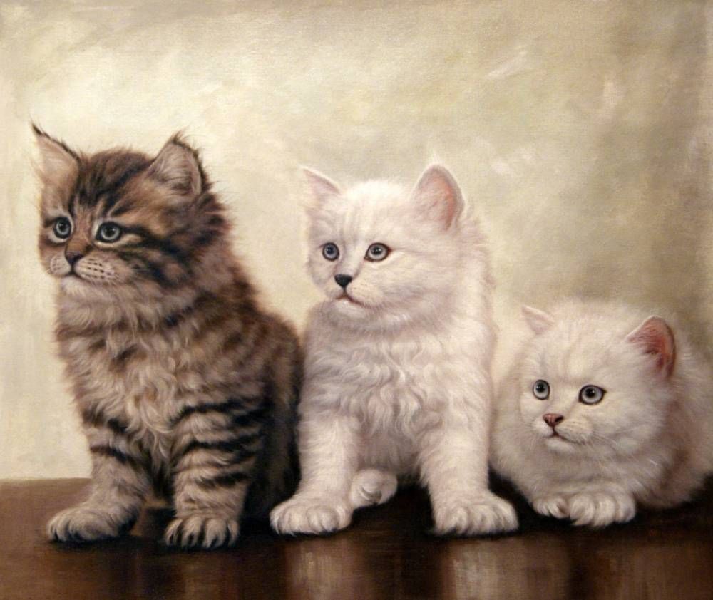 Три кошки картина