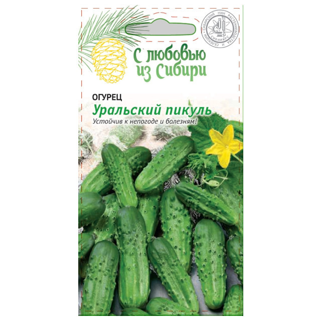 Семена Огурцы Уральский Дачник Купить