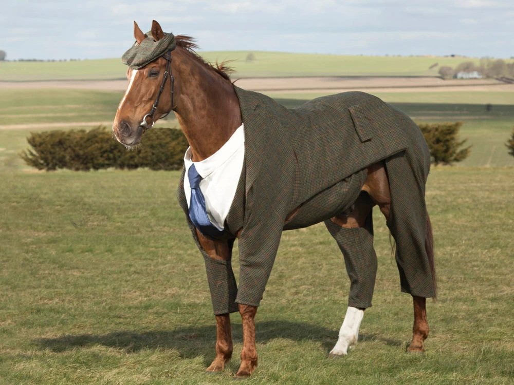 Конь в костюме