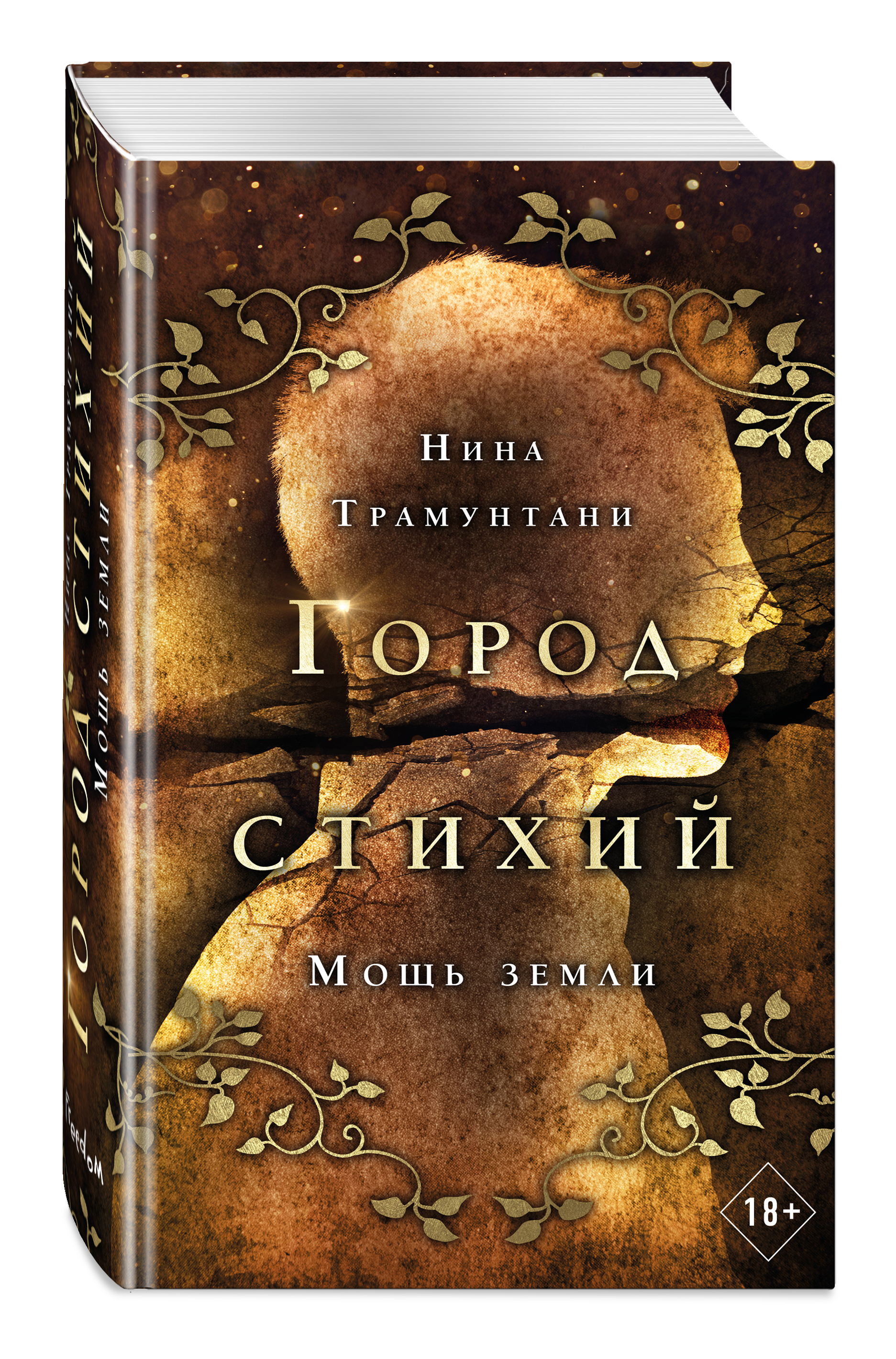 Книга стихий. Город стихий. Книга город стихий Зов огня. Нина ТРАМУНТАНИ - город стихии серия книг. Книга город стихий все части.