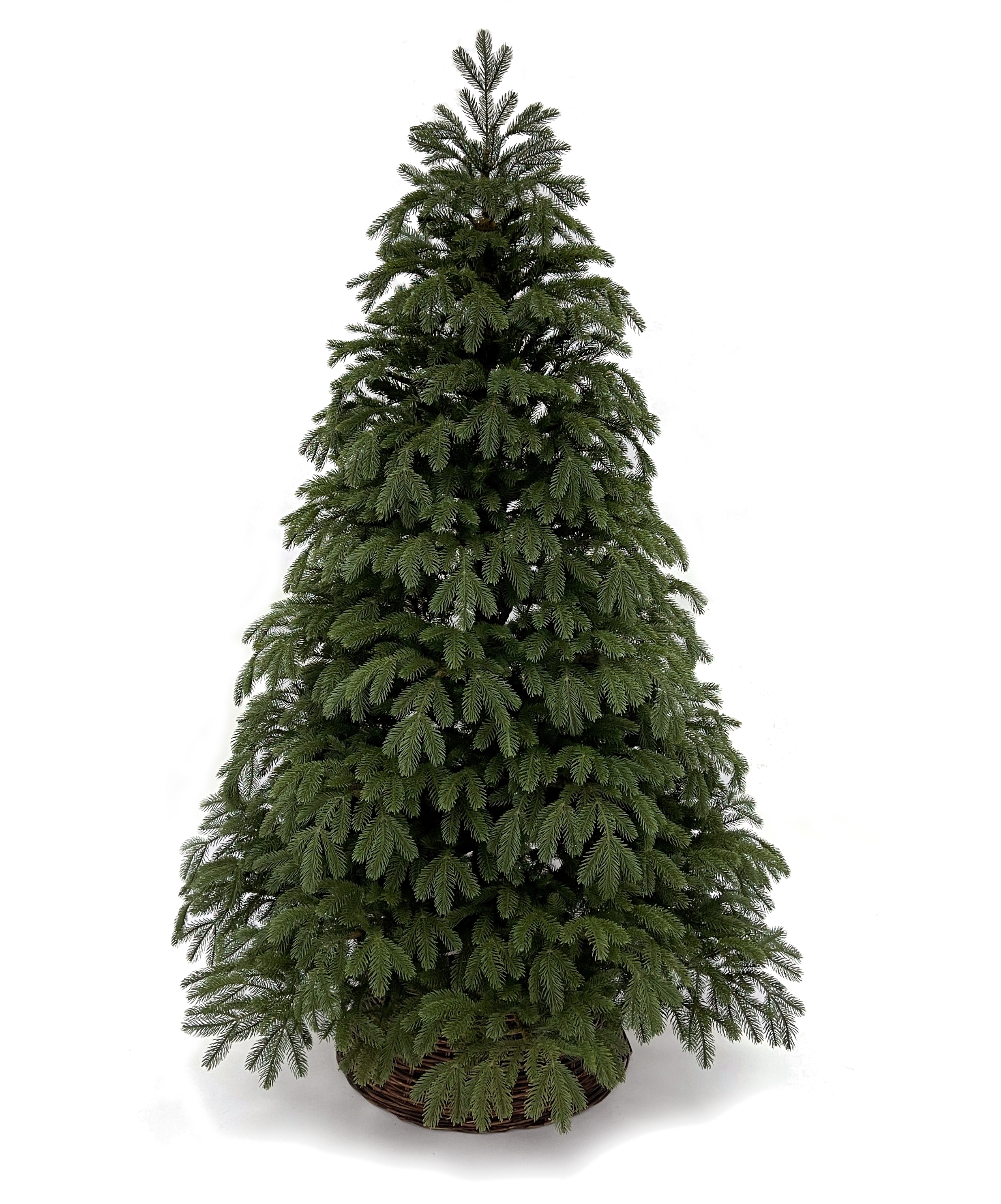 Black box елка коттеджная 215. Black box елка коттеджная 215. Triumph tree ель королевская 2. Елка black box коттеджная 215. Ель.