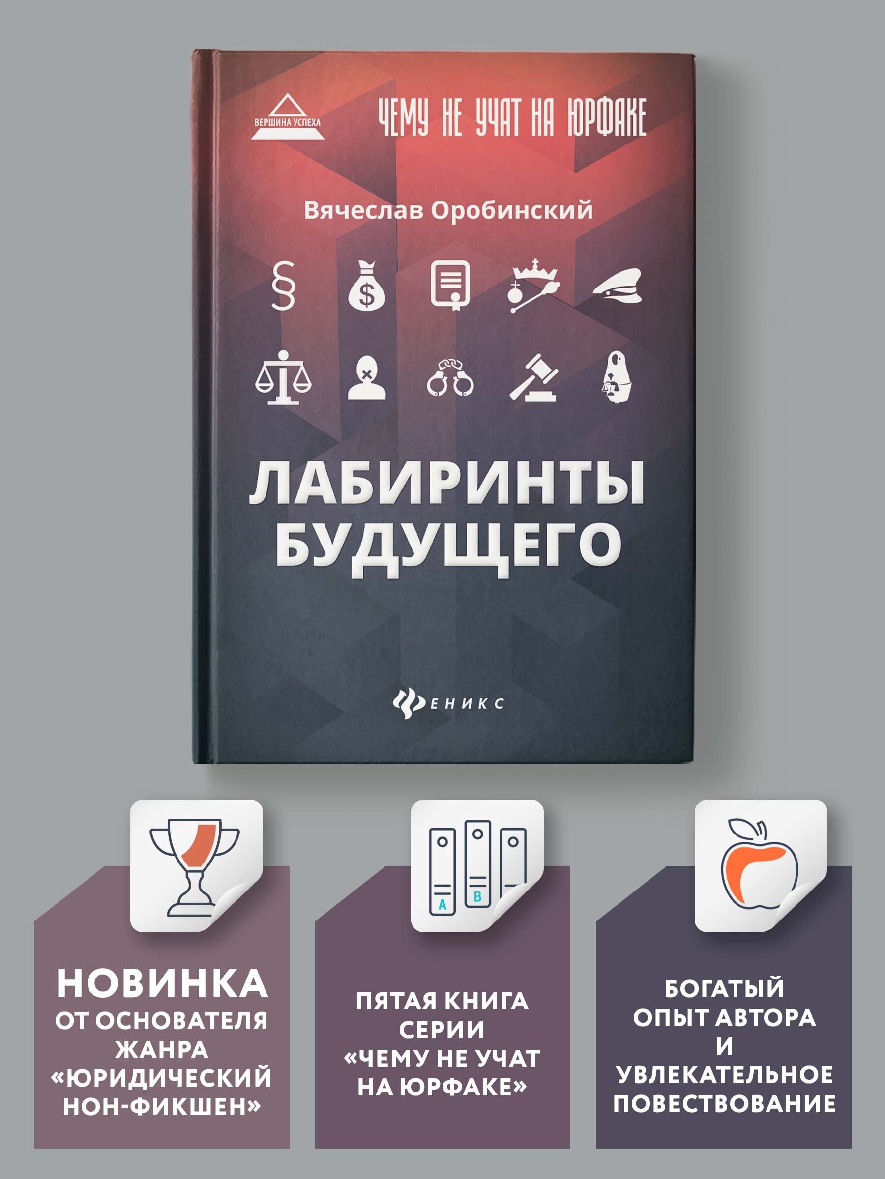 Чему не учат на юрфаке: Лабиринты будущего. Юридическая литература |  Оробинский Вячеслав Владимирович - купить с доставкой по выгодным ценам в  интернет-магазине OZON (247493676)