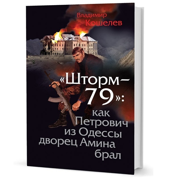 Книга шторм. Своя война шторм в пустыне.