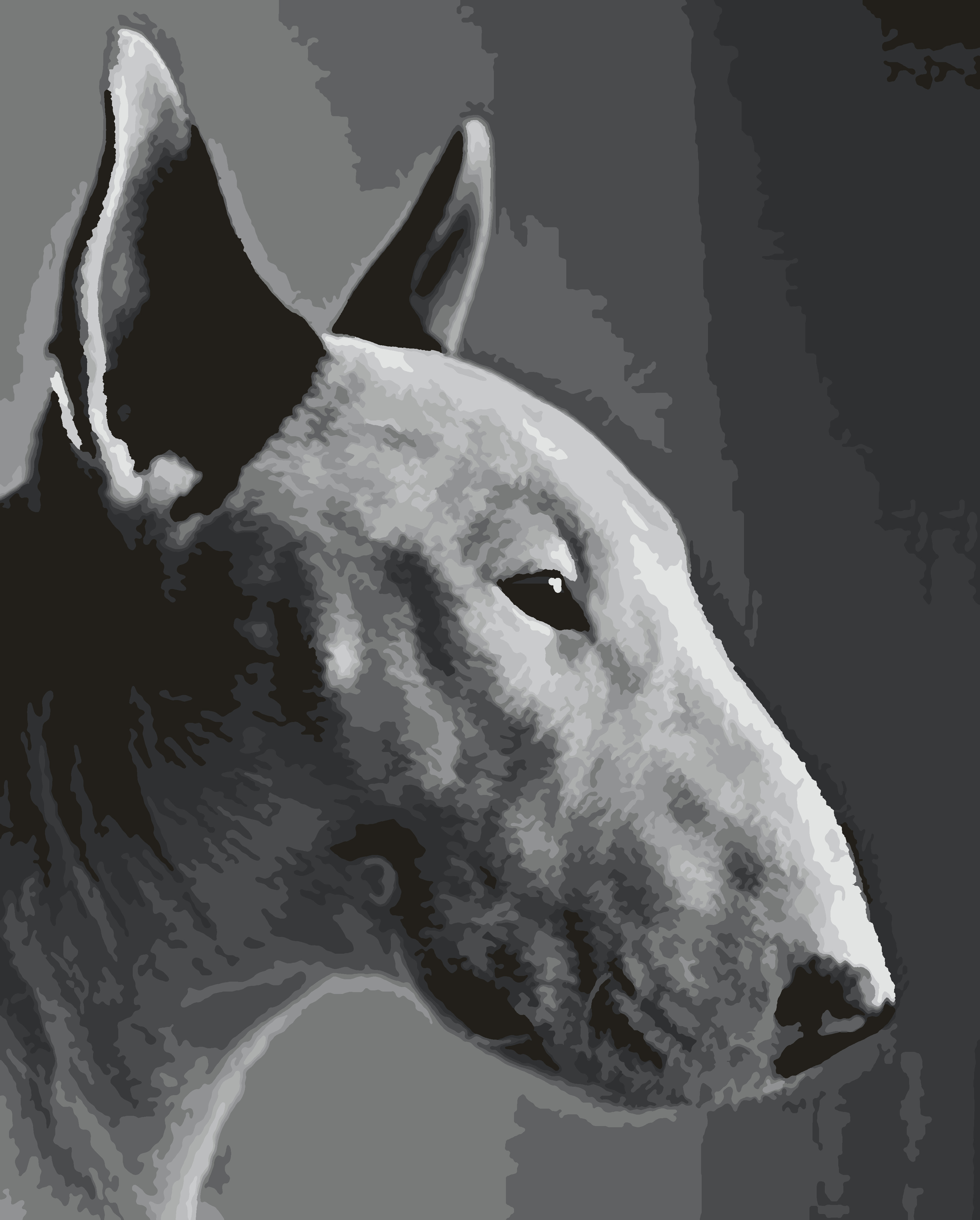 Картина по номерам Бультерьер. Собака. Портрет 40х50 см. Холст на  подрамнике - купить с доставкой по выгодным ценам в интернет-магазине OZON  (607817756)