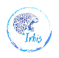 Irbis — купить товары Irbis в интернет-магазине OZON