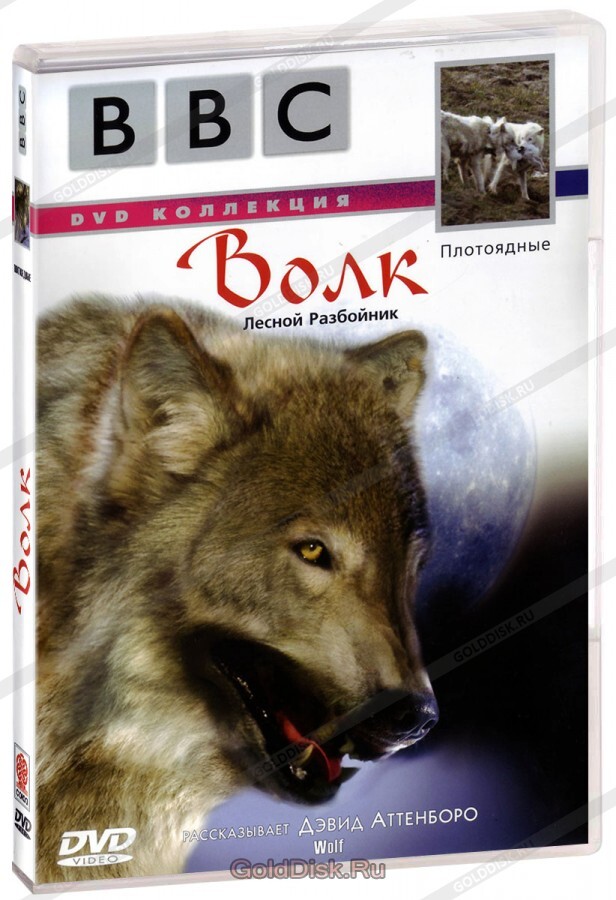 Тв волк. Bbc DVD коллекция. Волки (DVD). Bbc плотоядные DVD. ВВС животные диск.