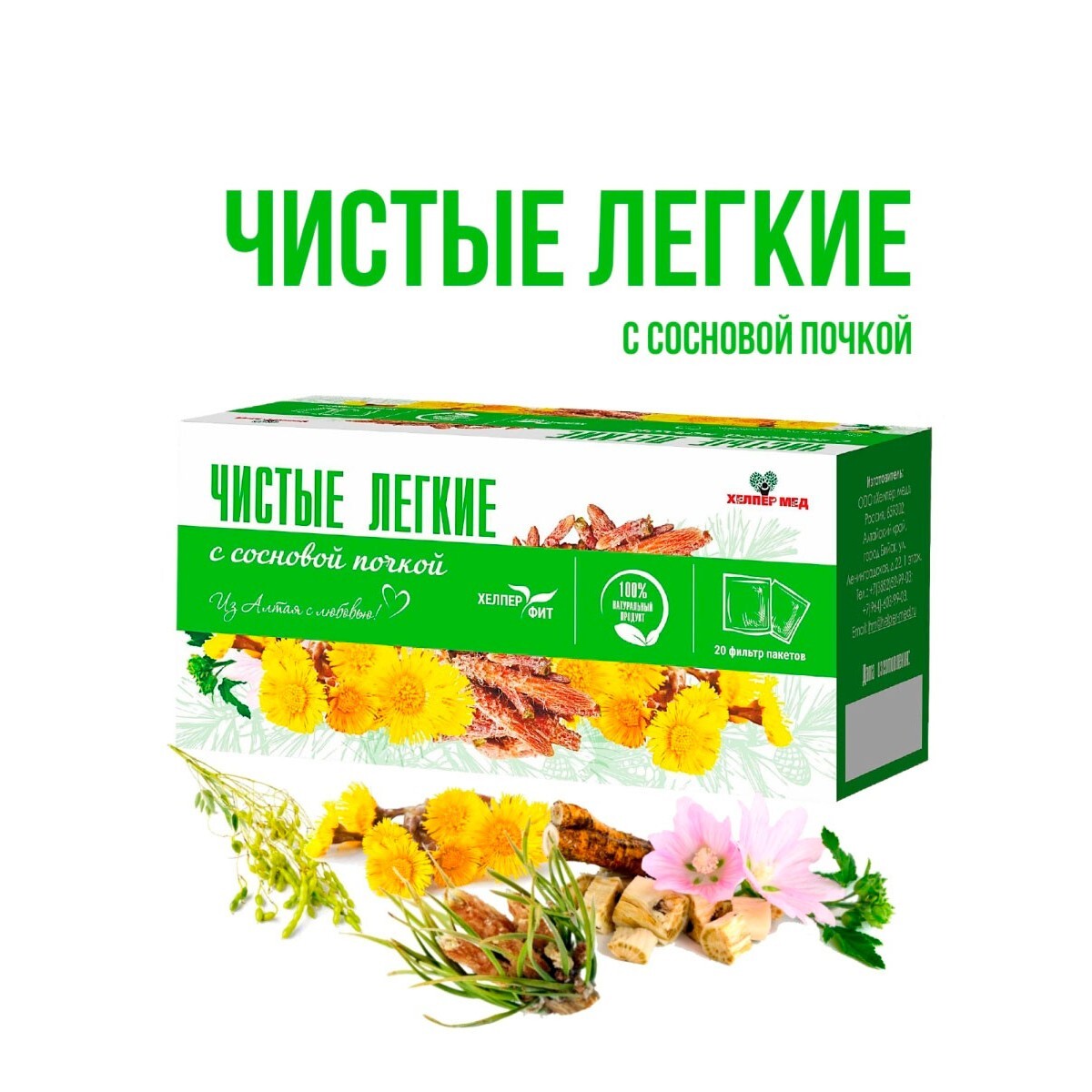 Купить Почку Сосны Оптом