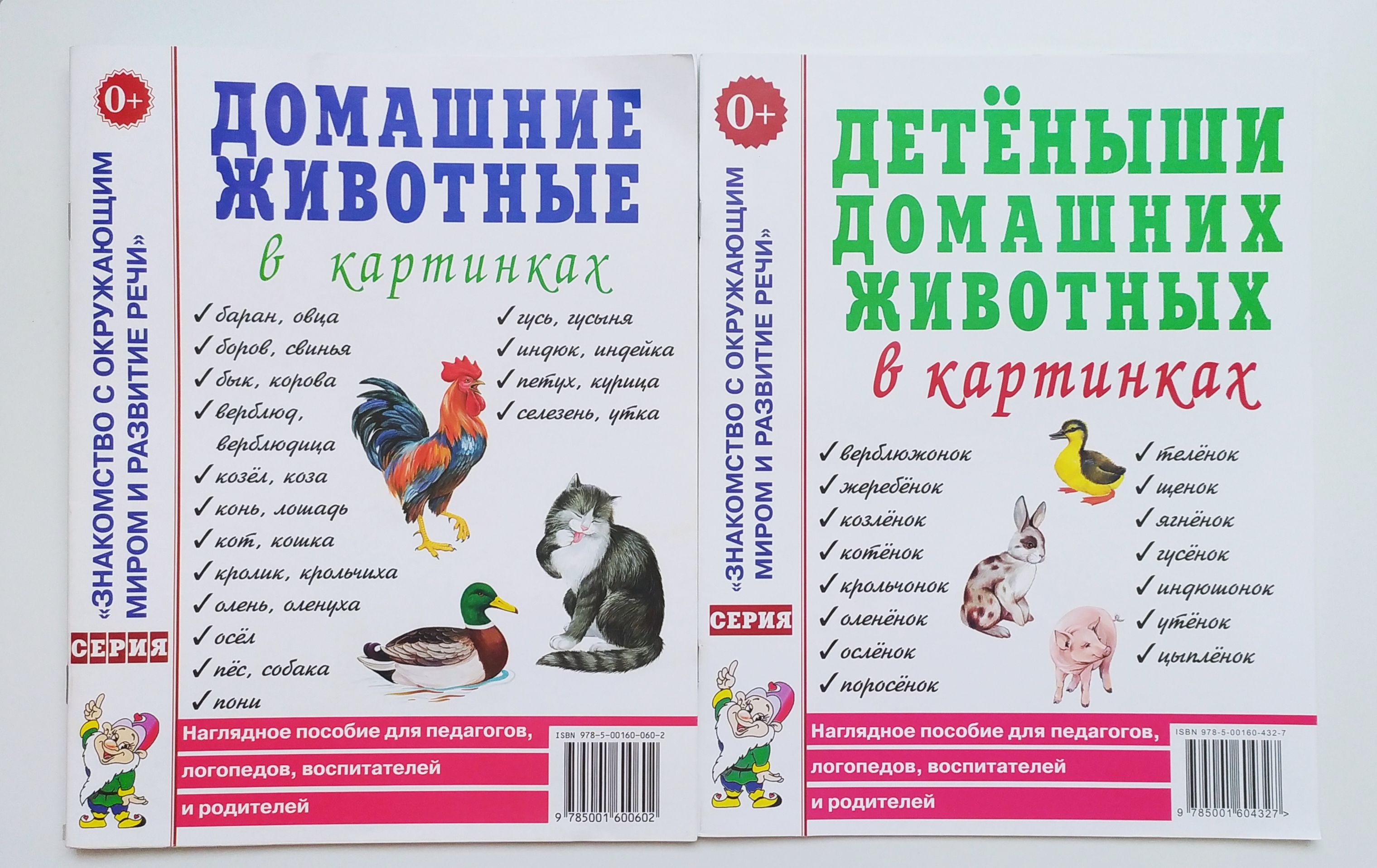 животные у вас дома консультации для родителей (98) фото