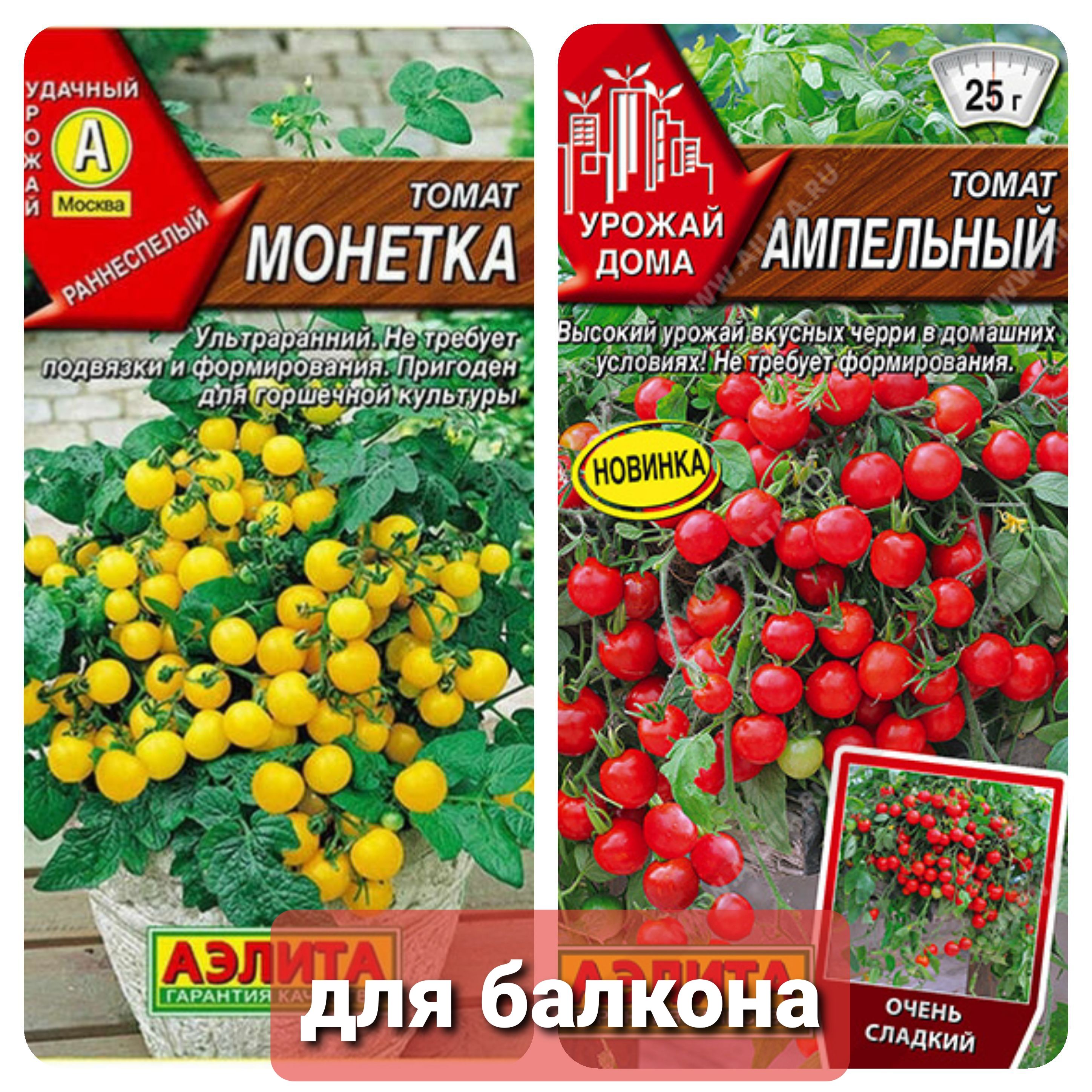 помидоры монетка. томат сорт монетка. помидоры черри монетка. помидоры монетка. томат кроха.