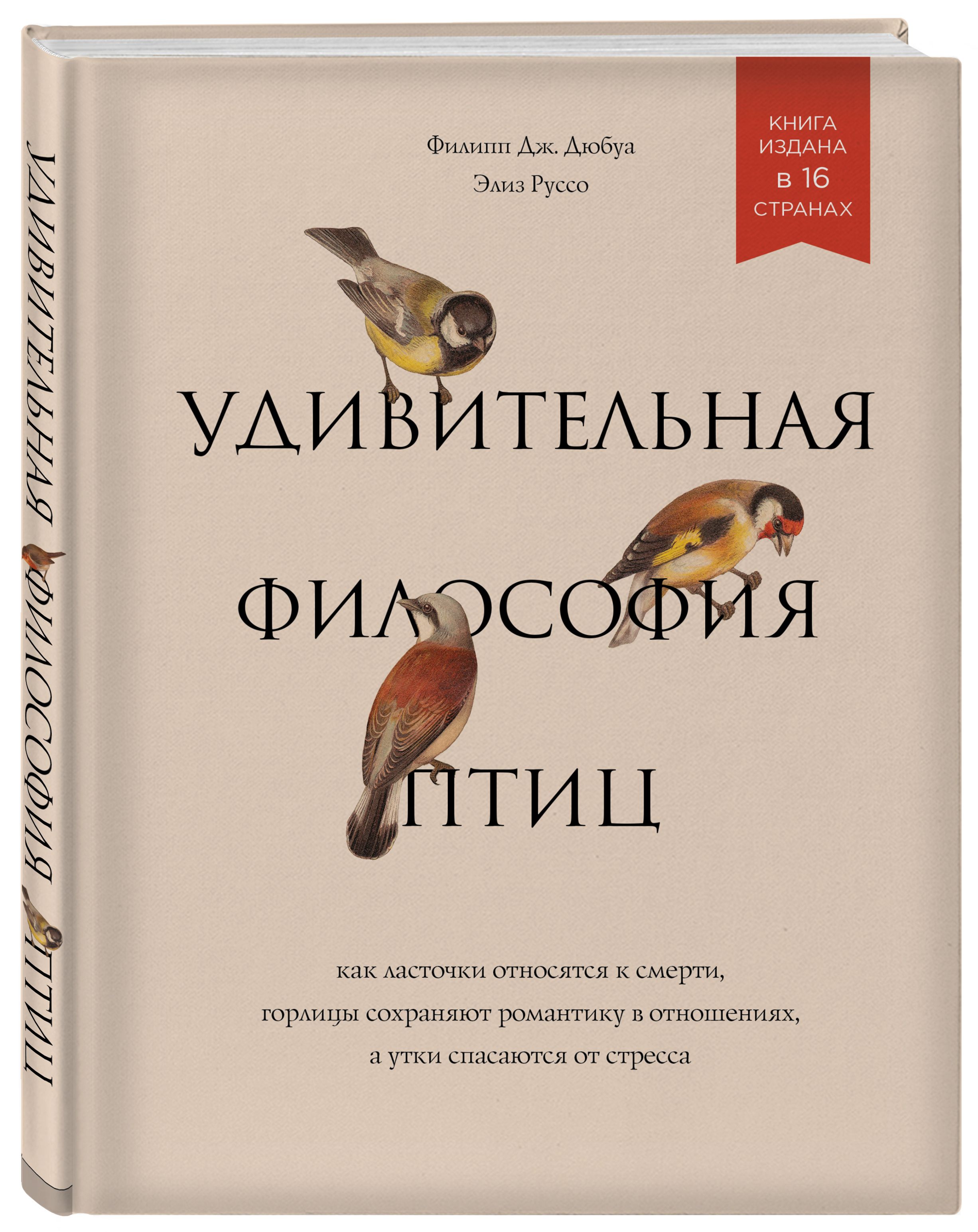 Удивительная философия птиц. Как ласточки относятся к смерти, горлицы  сохраняют романтику в отношениях, а утки спасаются от стресса | Дюбуа  Филипп ...