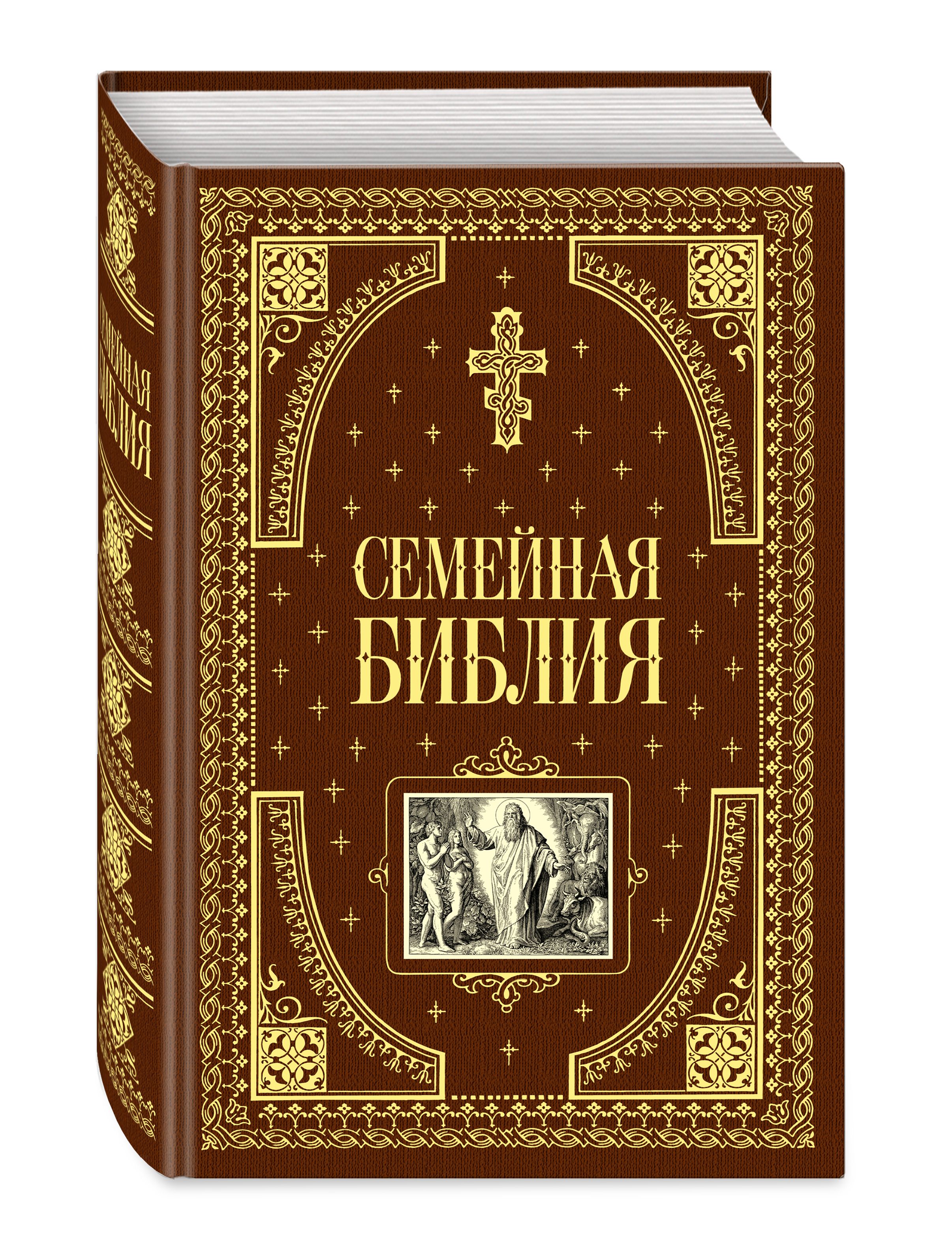 Библия с иллюстрациями. Семейная Библия Дестунис София. Семейная Библия с иллюстрациями Доре. Семейная Библия подарочное издание с иллюстрациями. Библия иллюстрированное издание для семьи.